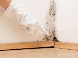 Best Mold Remediation for Healthcare Facilities  in USA